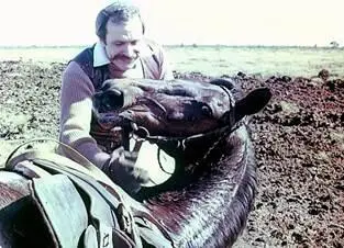 Собака Баскервилей Никита Михалков в роли сэра Генри после трюка 1981 Стрелы - фото 87
