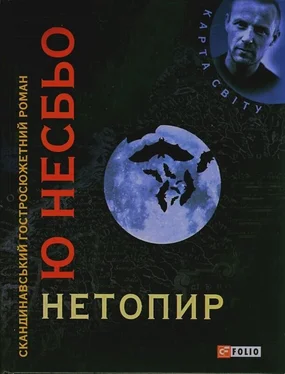 Ю Несбьо Нетопир обложка книги