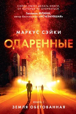 Маркус Сэйки Земля Обетованная обложка книги