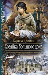 Карина Демина - Хозяйка большого дома
