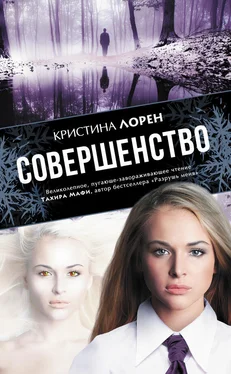 Кристина Лорен Совершенство обложка книги