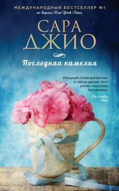 Сара Джио Последняя камелия обложка книги