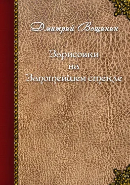 Дмитрий Вощинин Зарисовки на запотевшем стекле (сборник)