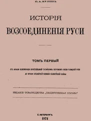 Пантелеймон Кулиш - История воссоединения Руси. Том 1