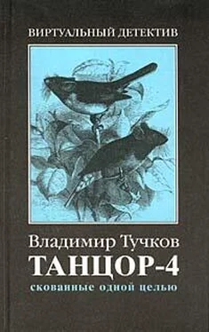 Владимир Тучков Скованные одной целью обложка книги