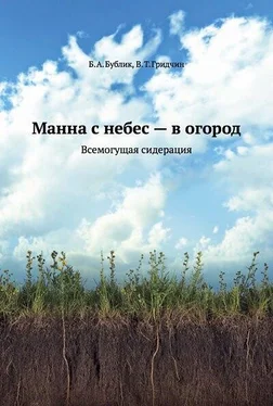 Гридчин Виталий Манна с небес — в огород. Всемогущая сидерация обложка книги