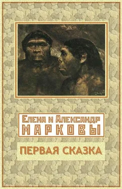 Елена Маркова Первая сказка обложка книги