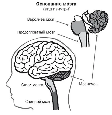 Разумеется сонный паралич не открывает портал в сверхъестественные миры И - фото 1
