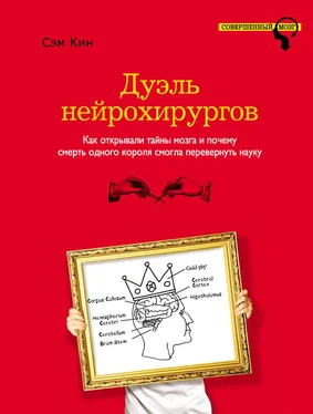 Сэм Кин Дуэль нейрохирургов. Как открывали тайны мозга и почему смерть одного короля смогла перевернуть науку обложка книги