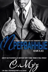 Саочинг Муз - Прерванные - 3 (ЛП)