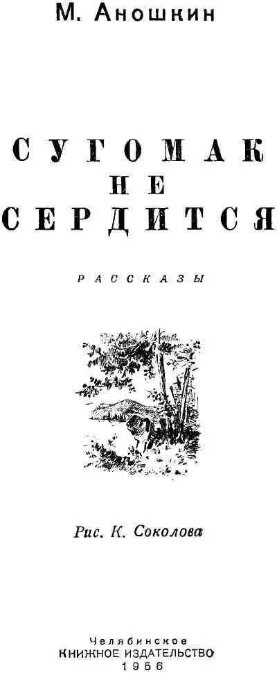 БОРЕНЬЕ I Уже несколько лет Владимир Бессонов жил в Челябинске До этого - фото 1