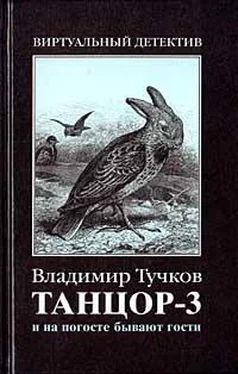 Владимир Тучков И на погосте бывают гости обложка книги