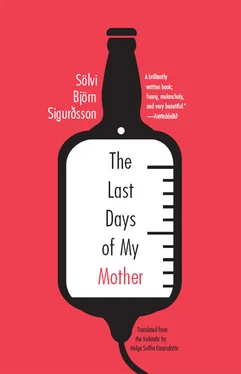 Sölvi Sigurdsson The Last Days of My Mother обложка книги