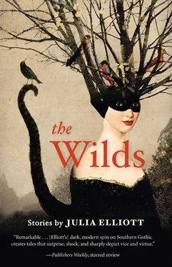 Julia Elliott The Wilds обложка книги