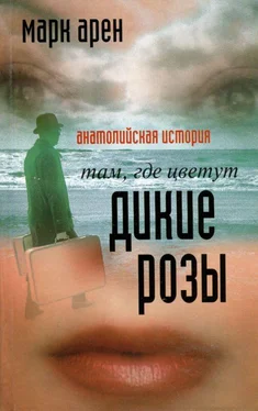 Марк Арен Там, где цветут дикие розы. Анатолийская история обложка книги