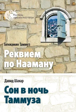 Давид Шахар Сон в ночь Таммуза обложка книги