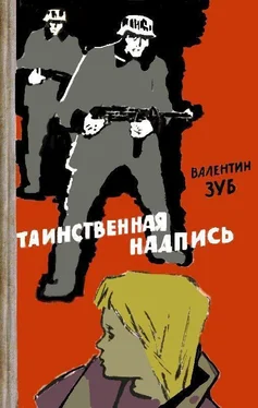 Валентин Зуб Таинственная надпись обложка книги