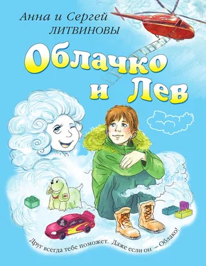 Анна и Сергей Литвиновы Облачко и Лев обложка книги