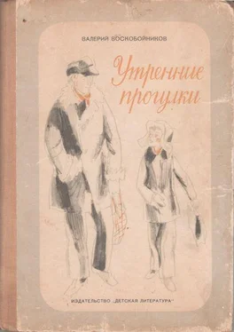 Валерий Воскобойников Утренние прогулки обложка книги