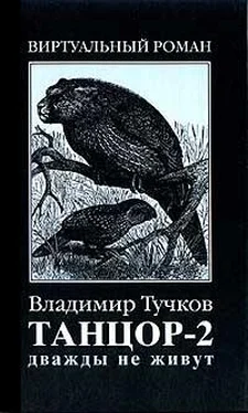 Владимир Тучков Дважды не живут обложка книги