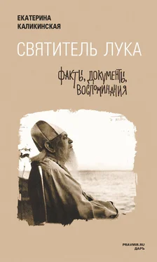 Екатерина Каликинская Святитель Лука: факты, документы, воспоминания обложка книги