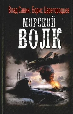 Владислав Савин Восточный фронт (СИ) обложка книги