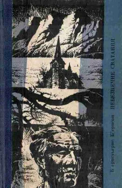 Б’єрнстьєрне Б’єрнсон Небезпечне сватання обложка книги