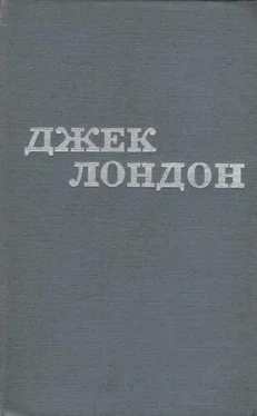 Джек Лондон Твори у 12 томах. Том 05 обложка книги