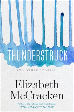 Elizabeth McCracken Thunderstruck & Other Stories обложка книги