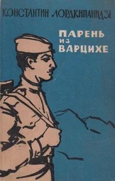 Константин Лордкипанидзе Парень из Варцихе обложка книги