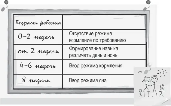 Начинать вводить режим сна надо после восьми недель Это трудно но награда - фото 21