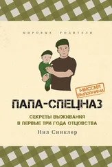 Нил Синклер - Папа-спецназ. Миссия выполнима