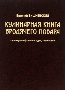 Евгений Вишневский Кулинарная книга бродячего повара. Кулинарные фантазии, идеи, технологии обложка книги