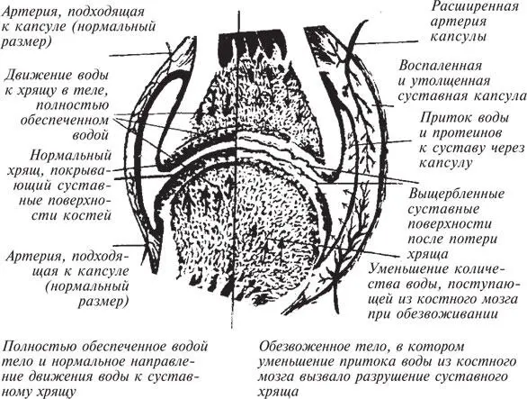 Рис 29 На левой стороне рисунка показано нормальное движение воды и - фото 47