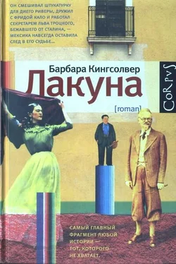 Барбара Кингсолвер Лакуна обложка книги