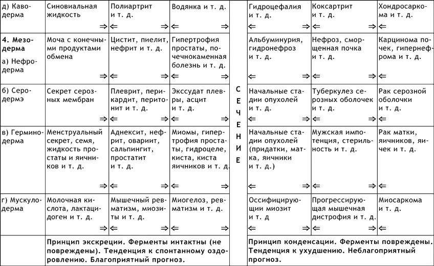 Первая фаза гомотоксикоза фаза экскреции означает выведение гомотоксинов - фото 4