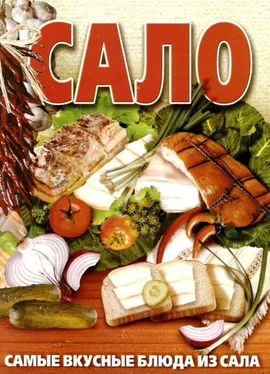 Ю. Дмитренко Сало. Самые вкусные блюда из сала обложка книги