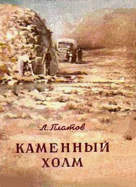 Леонид Платов Каменный холм (сборник) обложка книги