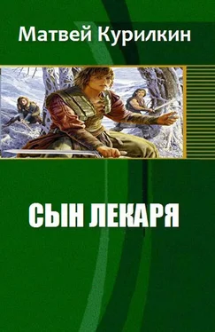 Курилкин М. Сын лекаря обложка книги