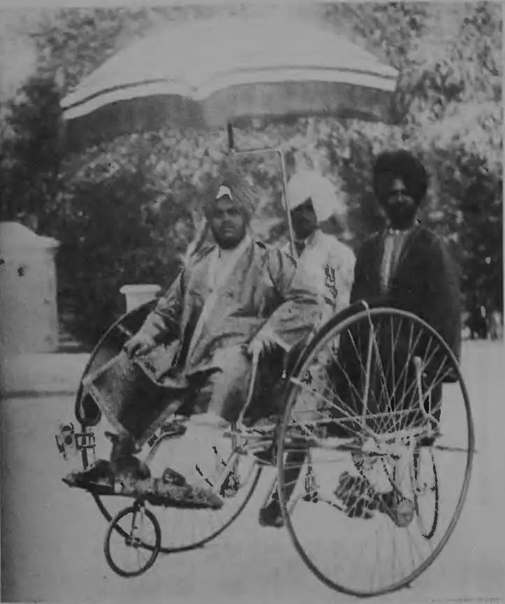 Главными видами развлечения индийских принцев были женщины спорт и охота - фото 3