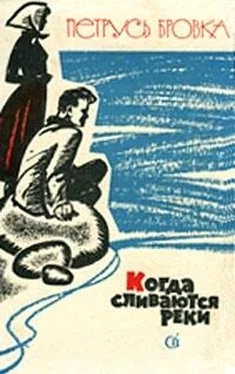 Петрусь Бровка Когда сливаются реки обложка книги