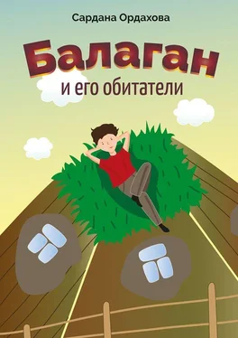 Сардана Ордахова Балаган и его обитатели обложка книги
