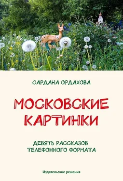 Сардана Ордахова Московские картинки (сборник) обложка книги