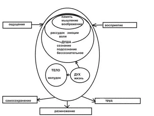 Рис 10 Объединенная схема человека тело душа дух Часть третья Глава - фото 10