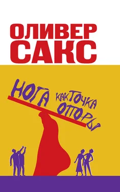 Оливер Сакс Нога как точка опоры обложка книги