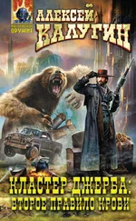 Алексей Калугин - Кластер Джерба - Второе правило крови