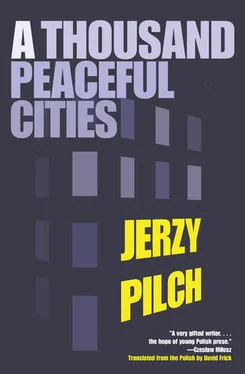 Jerzy Pilch A Thousand Peaceful Cities обложка книги