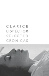 Clarice Lispector - Selected Cronicas