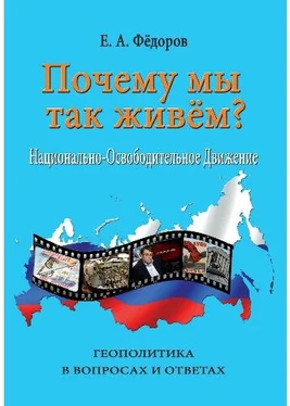 Евгений Фёдоров Почему мы так живем? Национально-освободительное движение обложка книги