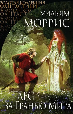 Уильям Моррис Лес за Гранью Мира (сборник) обложка книги